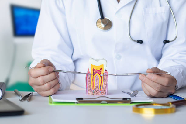 Best Urgent Dental Care for Toothaches in Clintondale, NY